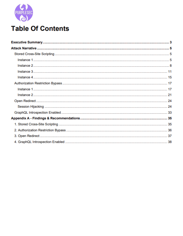 sample web application penetration test report - table of contents